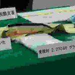【名古屋税関】タイ人、南アフリカ人旅客による覚醒剤密輸入事件