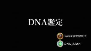 【DNA鑑定#1】綿棒による口腔内細胞のDNA採取方法と検査手順 [How To Collect DNA Sample]