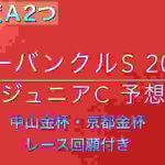 【競馬予想】 カーバンクルステークス ジュニアカップ 2020 予想