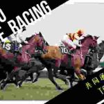【競馬予想】共同通信杯 2020 〜最終追い切り評価・馬場が渋れば浮上してくる馬がいる!!〜
