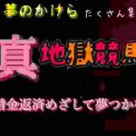 【競馬】勝ちたいから川田サマに願いを託した結果