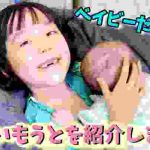 【ご報告】家族が1人ふえました!私の妹を紹介します💛
