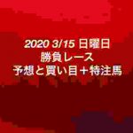 【競馬予想】2020 3/15 日曜日 勝負レース 予想と買い目+特注馬