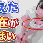 にゃんこスターアンゴラ村長が消えた理由!現在が悲惨すぎる…【キングオブコント・グラビア・解散】