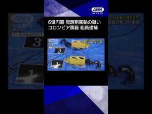 【ニュース】覚醒剤9.3kg密輸の指示役か　暴力団組員の男（29）逮捕 #shorts